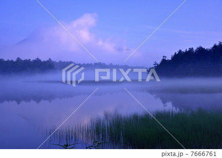 早春の湿原・夜明け 7666761