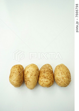 シンシア　じゃがいも 7666798