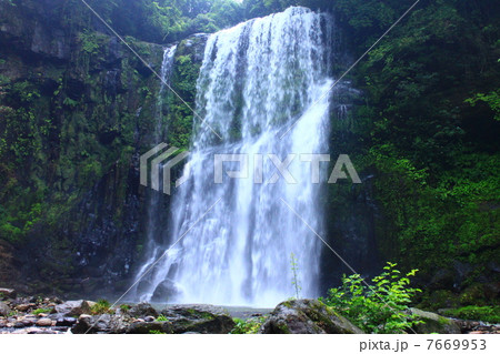 日田 桜滝 日田 桜滝 7669953