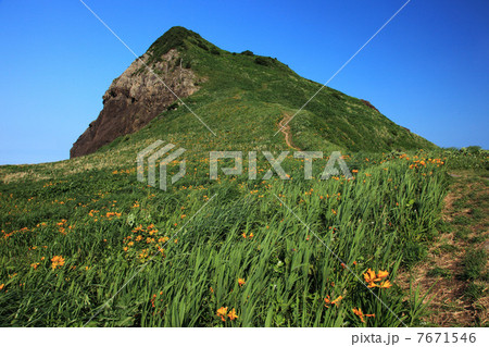 夏の佐渡大野亀 7671546