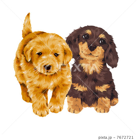 ラブラドールとダックスフンドのイラスト素材