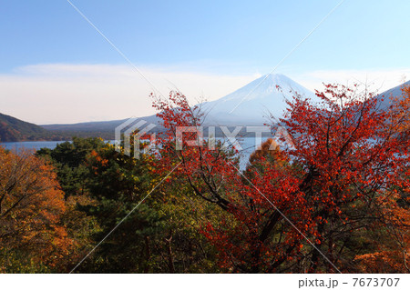 紅葉の本栖湖と富士山 紅葉の本栖湖と富士山 7673707