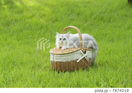 白チン公園デビューその1 7674219