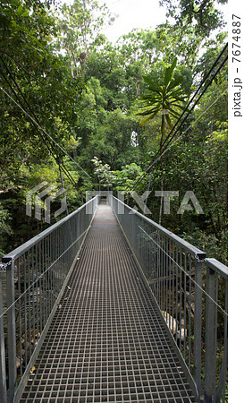 モスマンゴージの吊り橋 7674887
