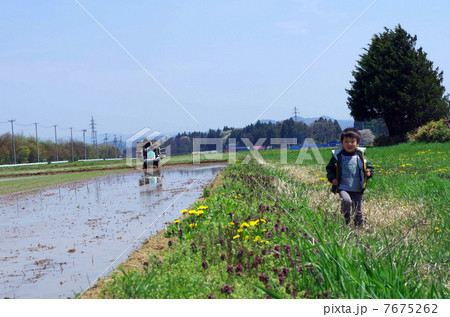 たんぼと子供 7675262