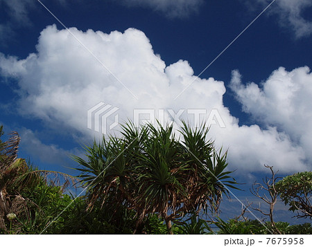 沖縄 夏の雲 沖縄 夏の雲 7675958