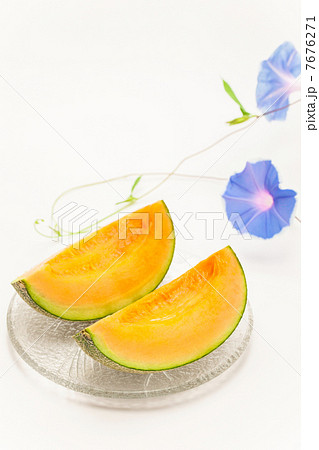 メロンとアサガオ 7676271