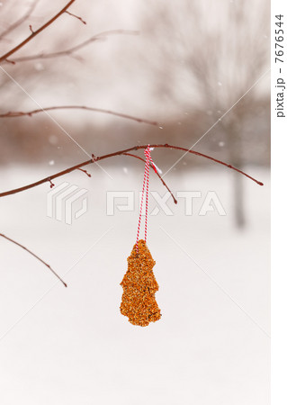 Bird seeds Bird seeds 7676544