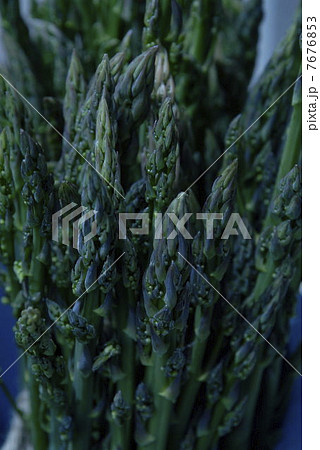 アスパラ 7676853