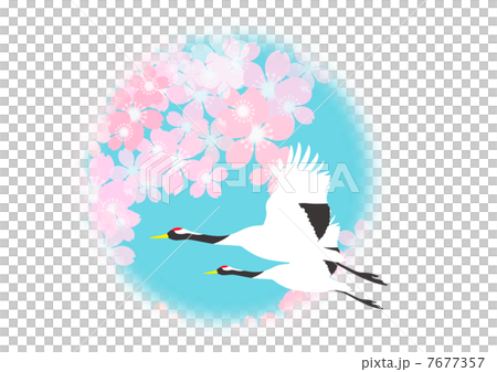 Cranes and cherry blossoms Cranes and cherry blossoms 7677357