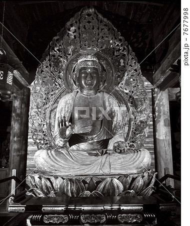 高蔵寺の木造阿弥陀如来坐像 7677998