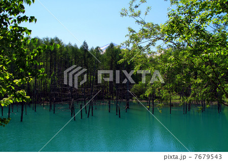 青い池 7679543