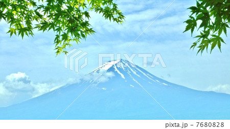 新緑と富士・モミジの若葉を近景に初夏の富士・横位置 7680828