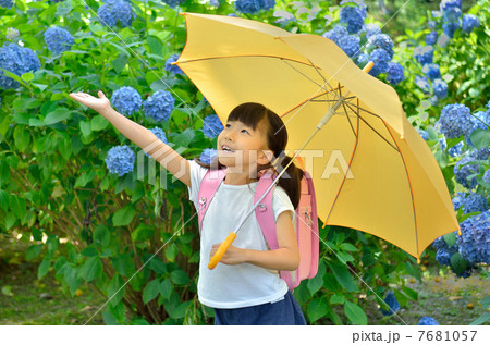 傘をさす小学生の女の子（梅雨） 7681057