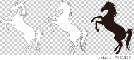 站立黑白的馬行 7681599