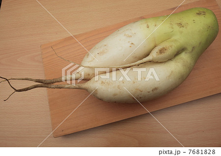 奇形大根 奇形大根 7681828