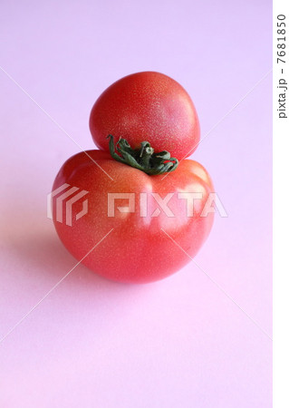 奇形トマト 奇形トマト 7681850