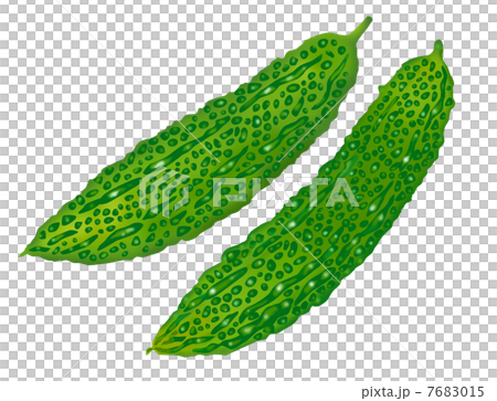 苦瓜 苦瓜 7683015