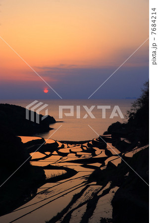 浜野浦の棚田 7684214