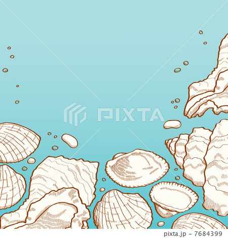 Seashell background 7684399