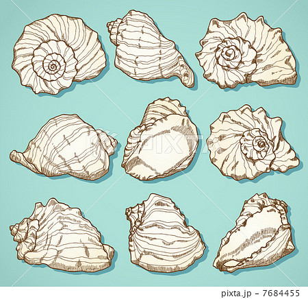 Seashell set in vintage style 7684455