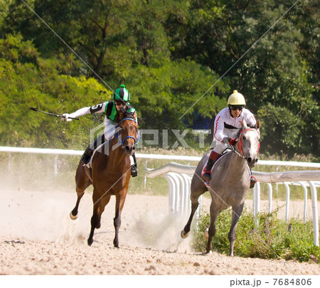 Horse racing 7684806
