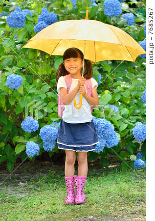 傘をさす小学生の女の子 梅雨 の写真素材
