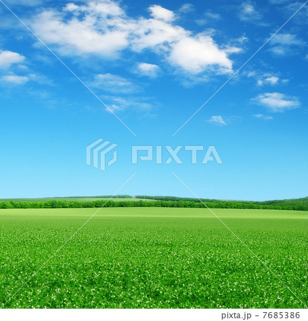green field and blue sky green field and blue sky 7685386
