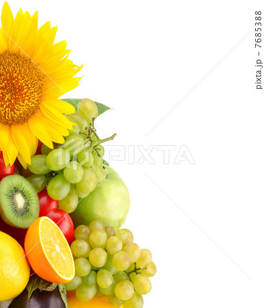 collection of fruits and vegetables collection of fruits and vegetables 7685388