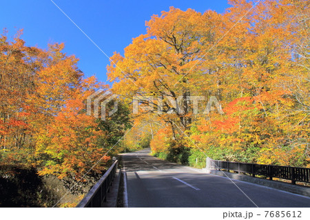 紅葉の八甲田・十和田ゴールドライン 紅葉の八甲田・十和田ゴールドライン 7685612