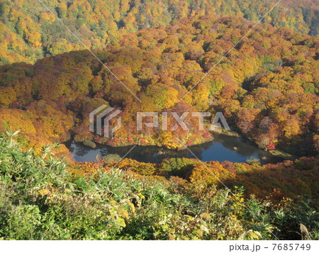 紅葉の鶴間池 7685749
