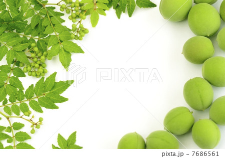 フレーム 7686561