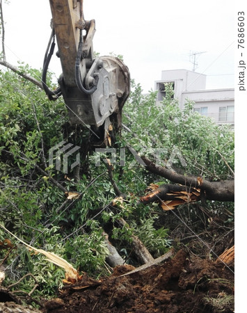 整地作業には樹木の伐採も 整地作業には樹木の伐採も 7686603