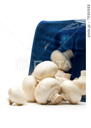 Champignon spilling out of a carrier Champignon spilling out of a carrier 7686888