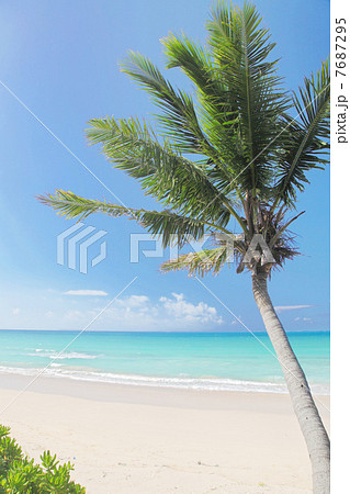 渡口の浜 渡口の浜 7687295