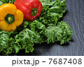 野菜 7687408