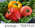 野菜 7687410