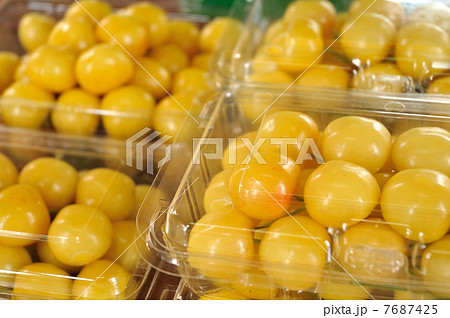 ＠月山錦 7687425