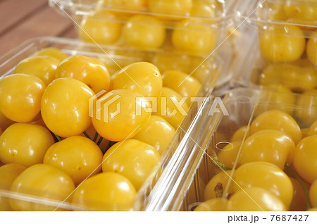 ＠月山錦 7687427