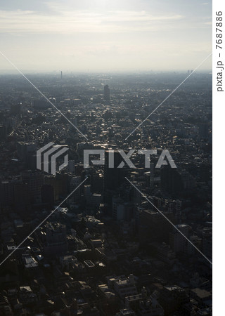 夕刻の東京 7687886
