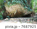 沖縄・斎場御嶽　寄満 7687925