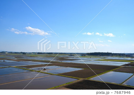 栃木県塩谷郡高根沢町 田植え 栃木県塩谷郡高根沢町 田植え 7687946