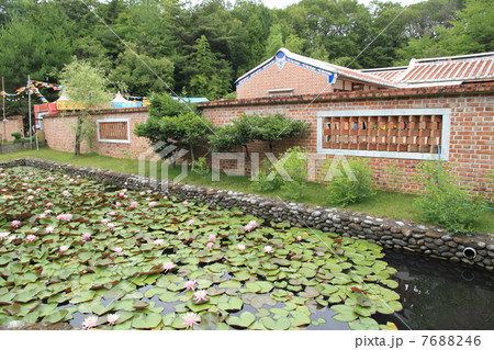 1950年代の台湾の農家 1950年代の台湾の農家 7688246