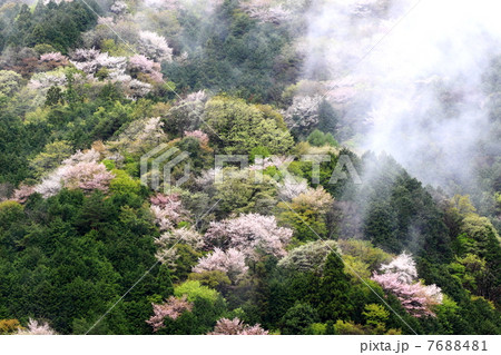 里山の風景 7688481