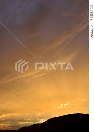 自然のサーチライト 7688519