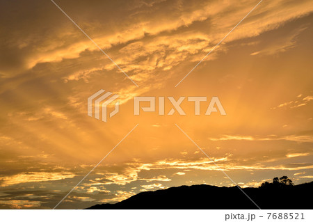 自然のサーチライト 自然のサーチライト 7688521