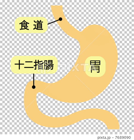 胃腸圖 7689090