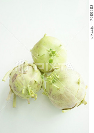 コールラビ コールラビ 7689282