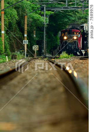 トロッコ列車 7689976