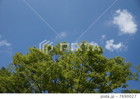 青空1 青空1 7690027